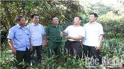 Lan tỏa phong trào cựu chiến binh gương mẫu